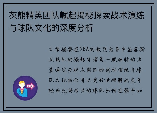 灰熊精英团队崛起揭秘探索战术演练与球队文化的深度分析
