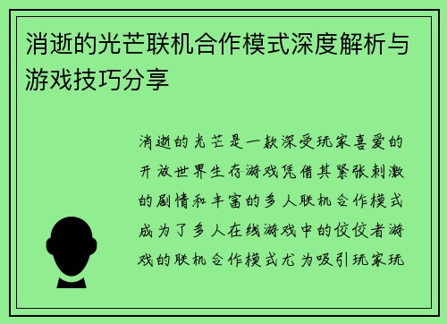 消逝的光芒联机合作模式深度解析与游戏技巧分享